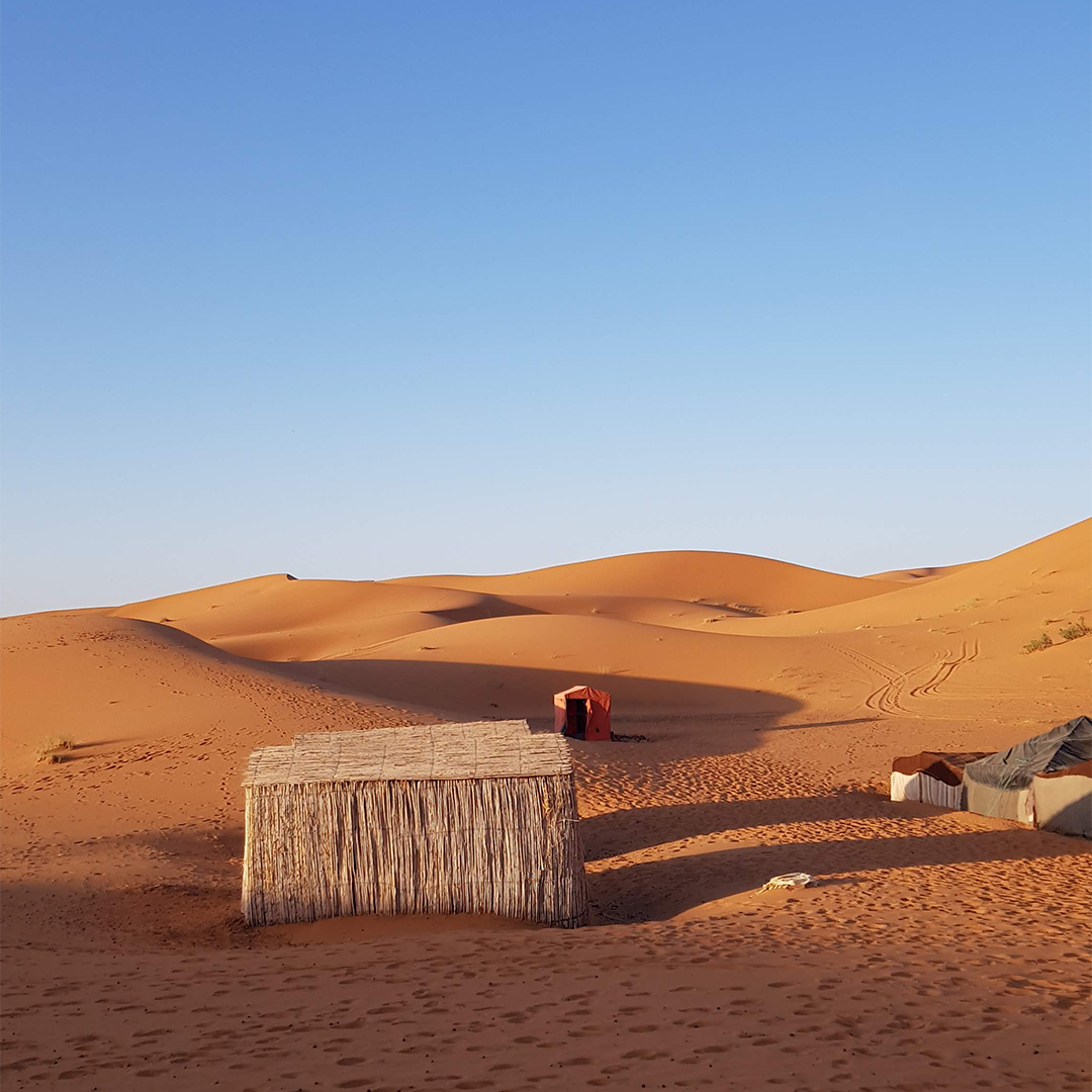 Sahara - 2018